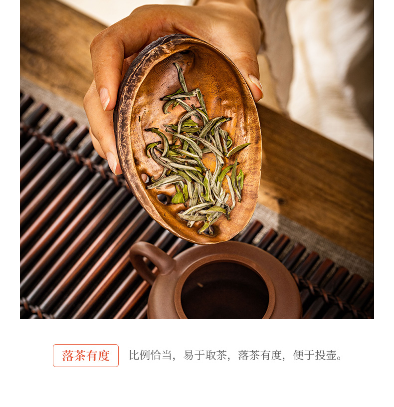 蜂鸟【文创】鲍鱼贝壳形 纯手工高端铜茶则高档茶荷茶则禅意